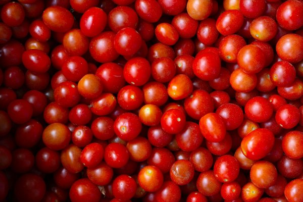 Recettes de cocktails maison et tapas savoureuses à partager